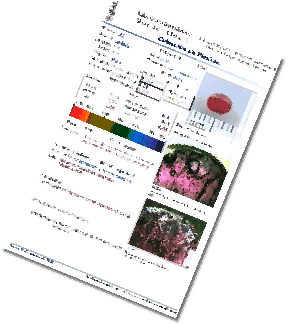 Image11.gif
