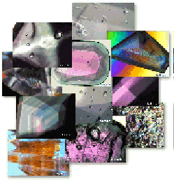 Image13.gif